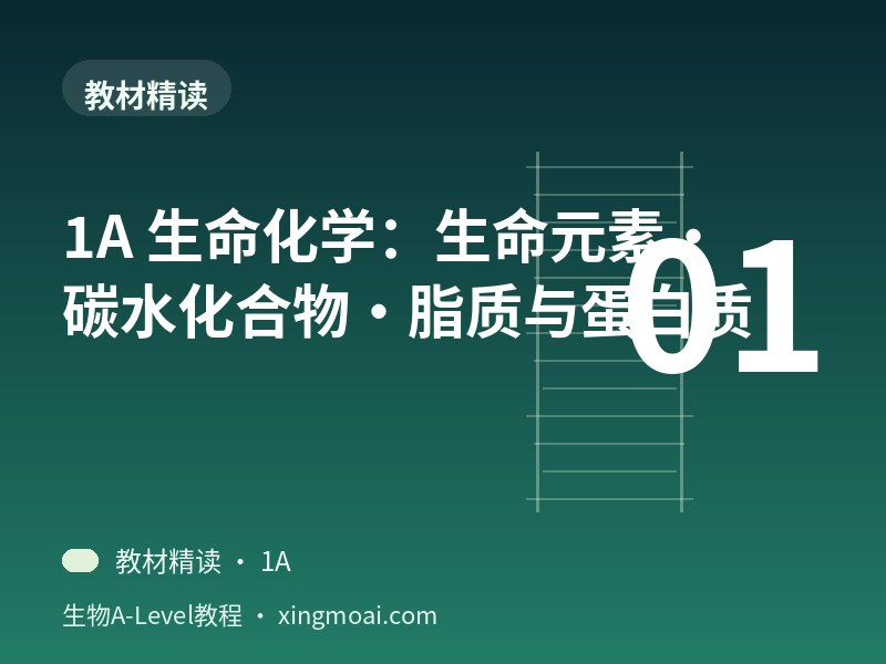 1A 生命化学：生命元素·碳水化合物·脂质与蛋白质