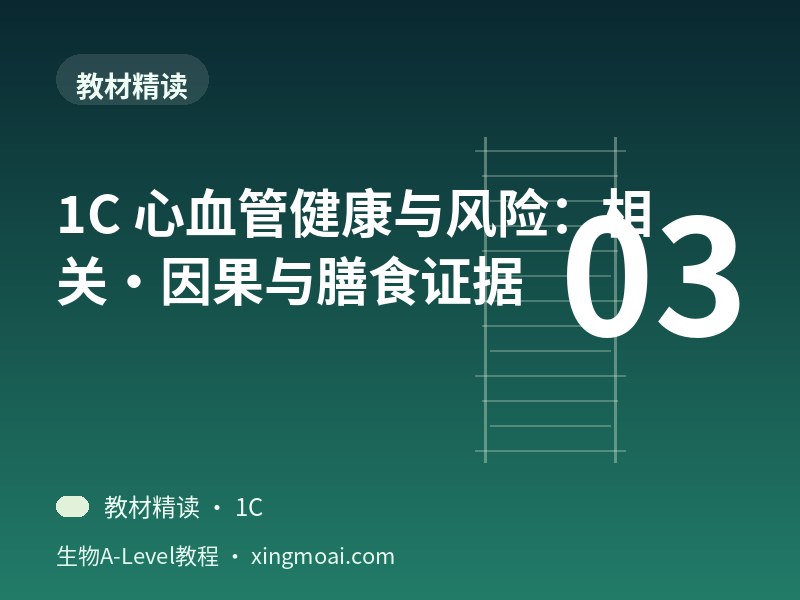 1C 心血管健康与风险：相关·因果与膳食证据