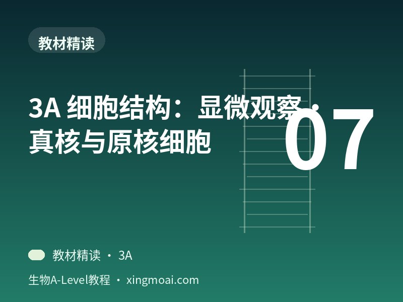 3A 细胞结构：显微观察·真核与原核细胞