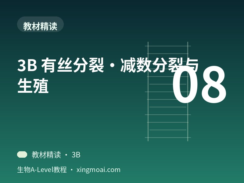 3B 有丝分裂·减数分裂与生殖