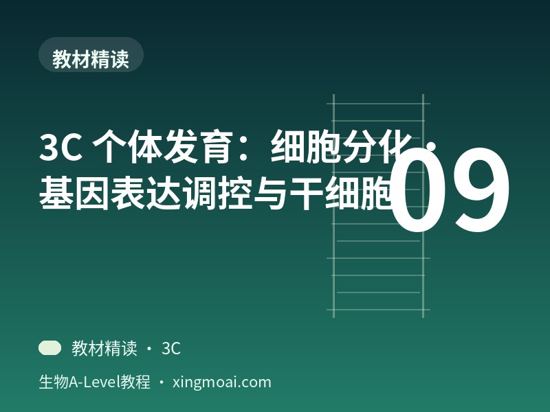 3C 个体发育：细胞分化·基因表达调控与干细胞