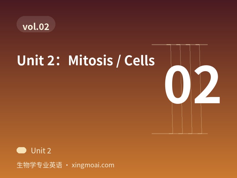 Unit 2：Mitosis / Cells