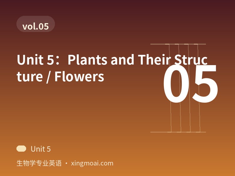 Unit 5：Plants and Their Structure / Flowers