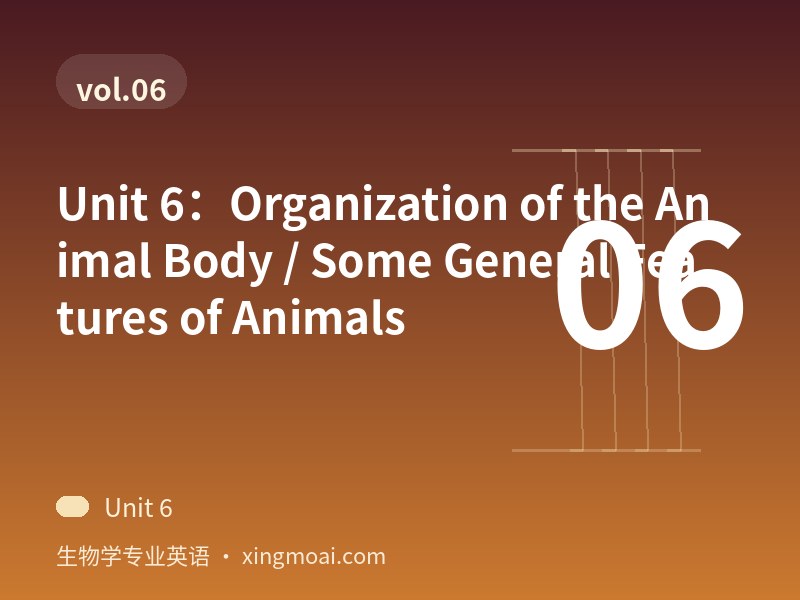Unit 6：Organization of the Animal Body / Some General Features of Animals