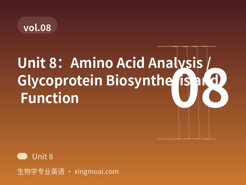 Unit 8：Amino Acid Analysis / Glycoprotein Biosynthesis and Function