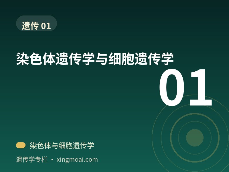 染色体遗传学与细胞遗传学
