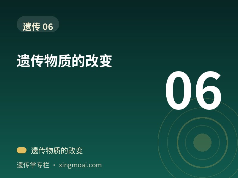 遗传物质的改变