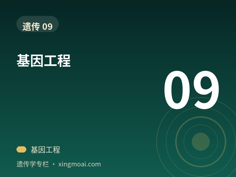 基因工程