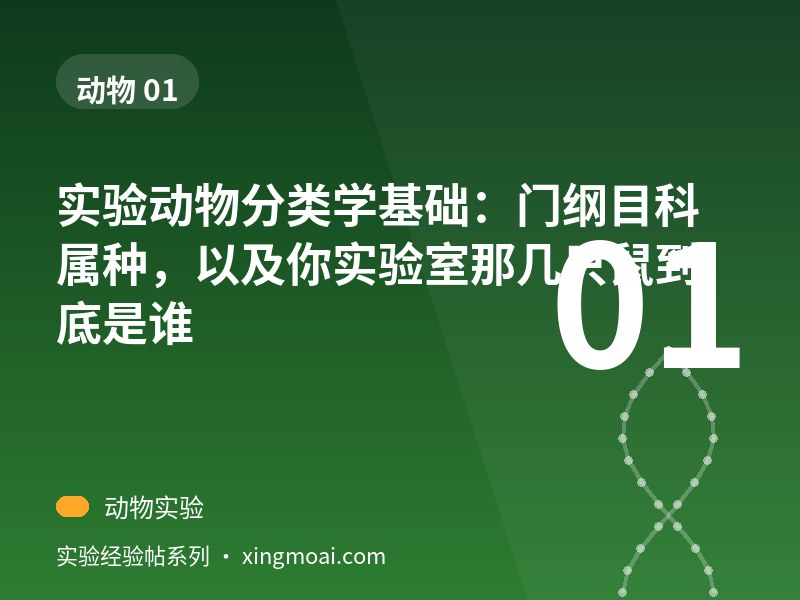 实验动物分类学基础：门纲目科属种，以及你实验室那几只鼠到底是谁