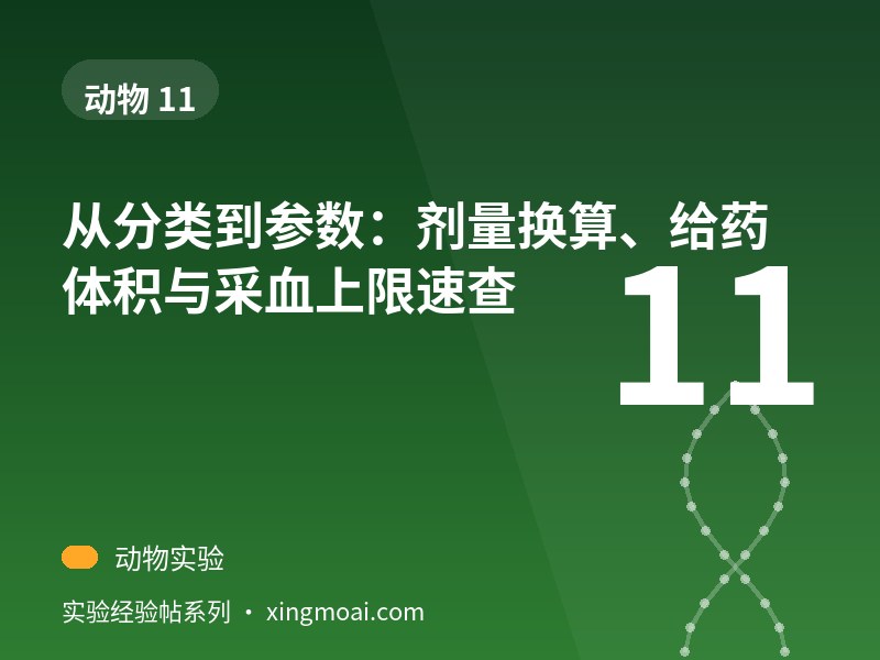 从分类到参数：剂量换算、给药体积与采血上限速查