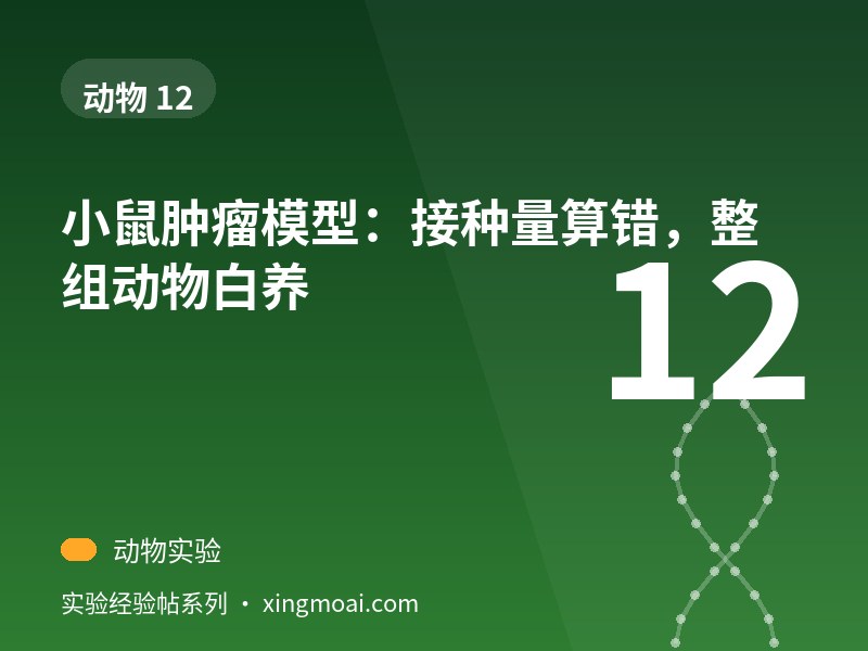 小鼠肿瘤模型：接种量算错，整组动物白养