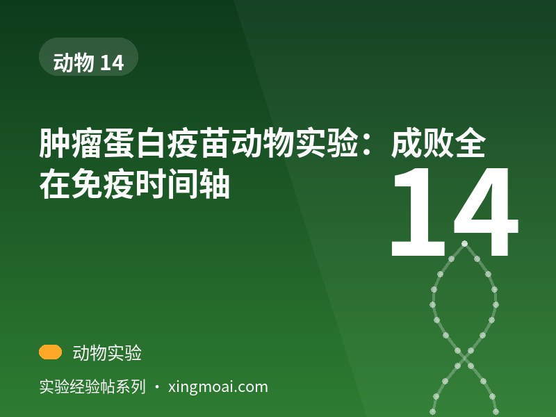 肿瘤蛋白疫苗动物实验：成败全在免疫时间轴