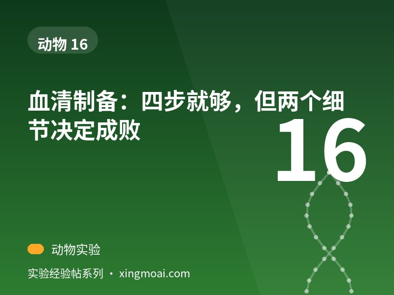 血清制备：四步就够，但两个细节决定成败