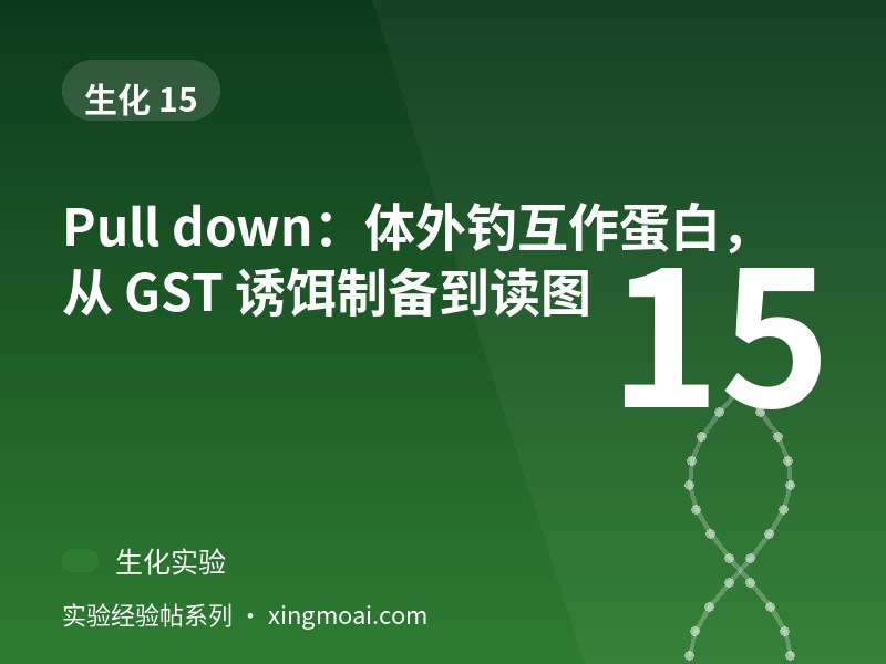 Pull down：体外钓互作蛋白，从 GST 诱饵制备到读图