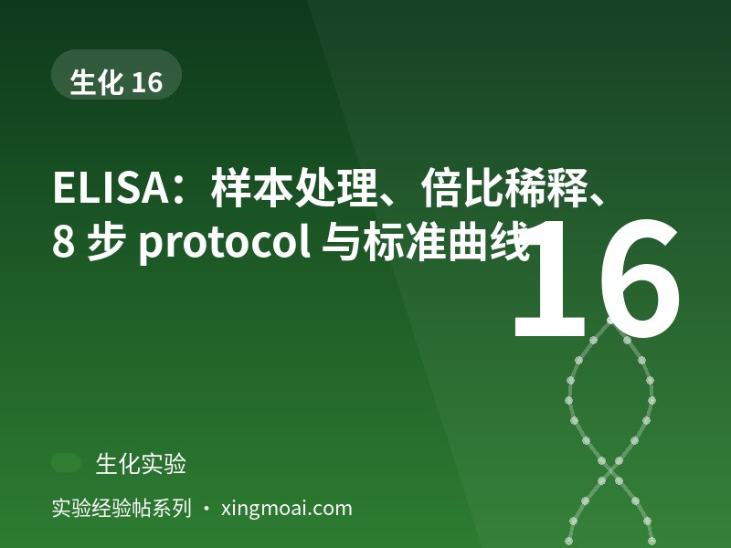ELISA：样本处理、倍比稀释、8 步 protocol 与标准曲线