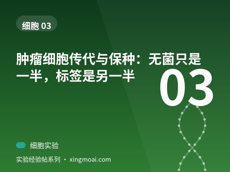 肿瘤细胞传代与保种：无菌只是一半，标签是另一半
