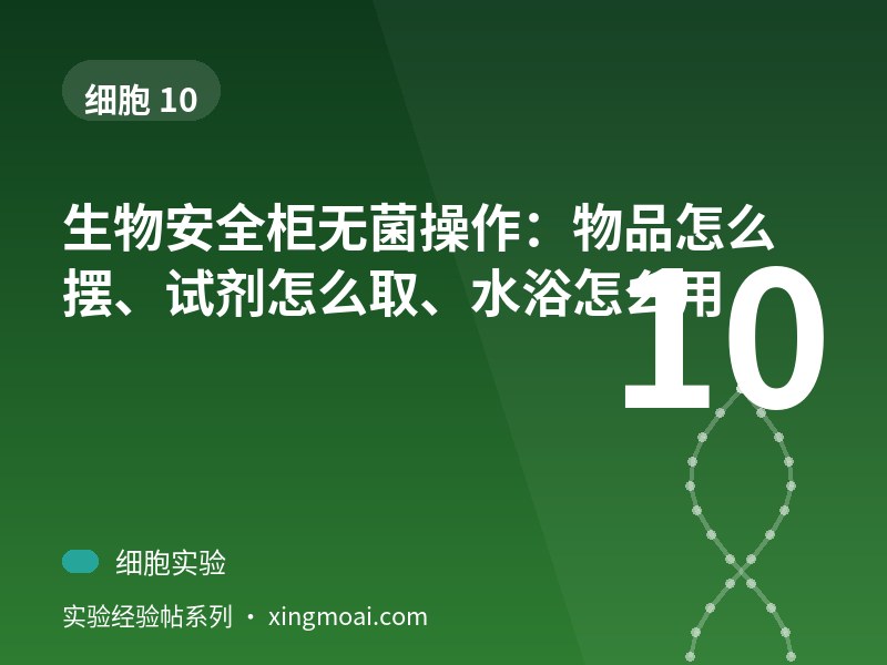 生物安全柜无菌操作：物品怎么摆、试剂怎么取、水浴怎么用