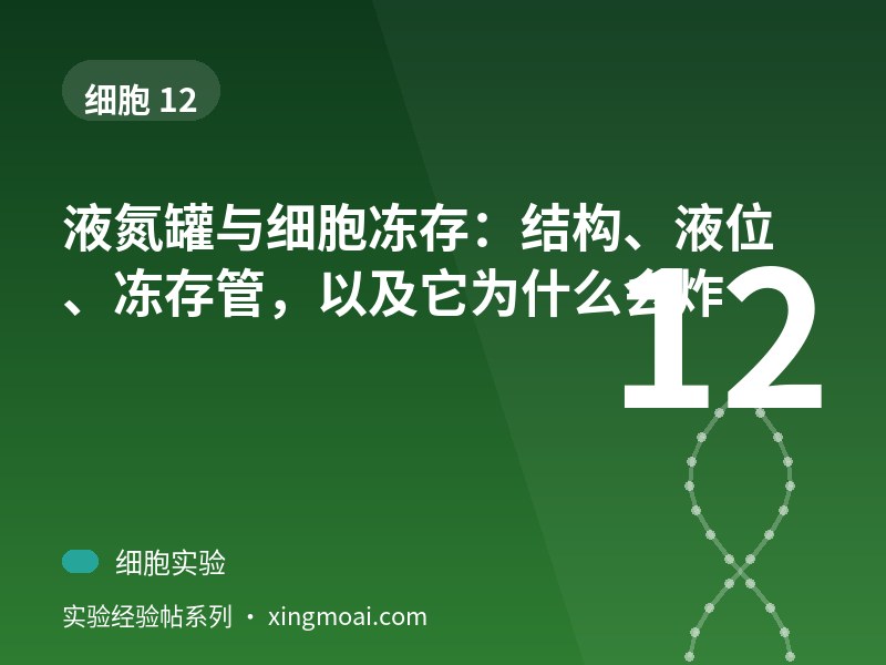 液氮罐与细胞冻存：结构、液位、冻存管，以及它为什么会炸