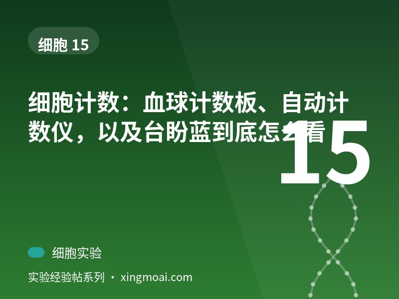 细胞计数：血球计数板、自动计数仪，以及台盼蓝到底怎么看
