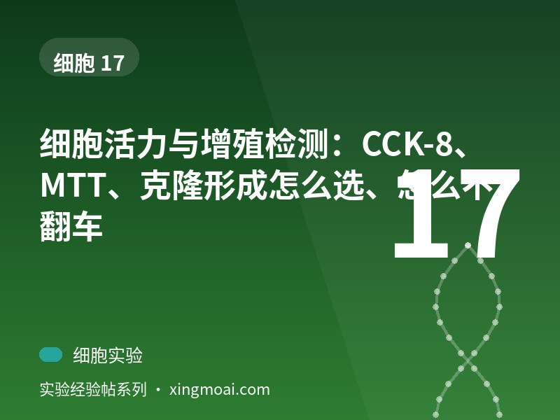 细胞活力与增殖检测：CCK-8、MTT、克隆形成怎么选、怎么不翻车