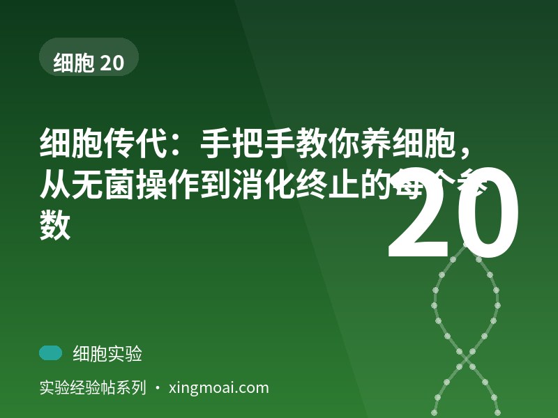 细胞传代：手把手教你养细胞，从无菌操作到消化终止的每个参数