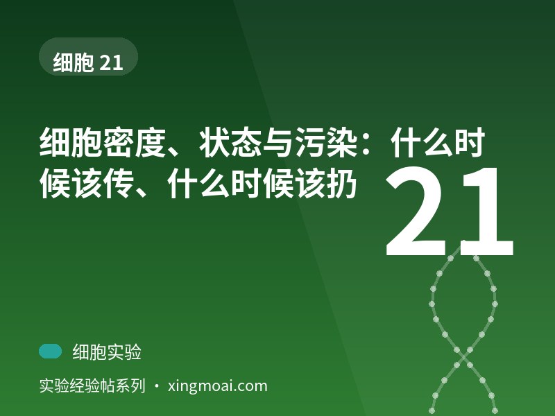 细胞密度、状态与污染：什么时候该传、什么时候该扔