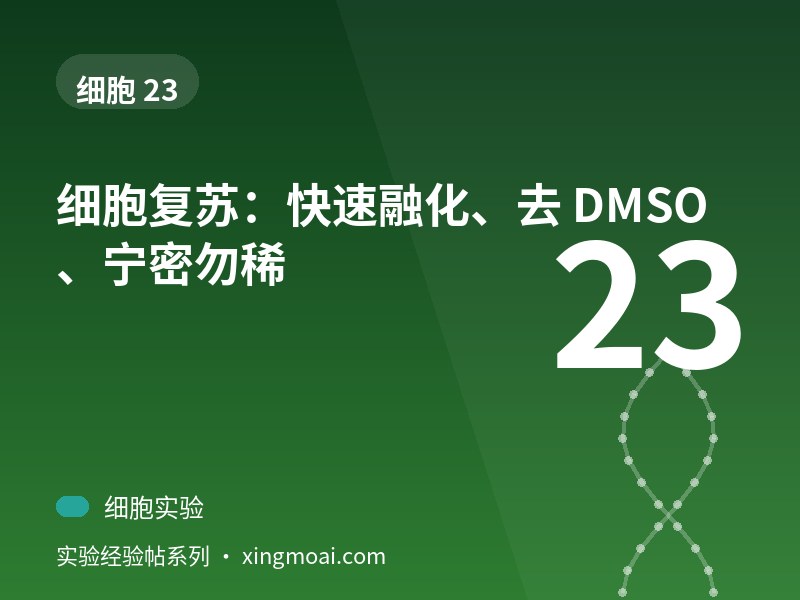 细胞复苏：快速融化、去 DMSO、宁密勿稀