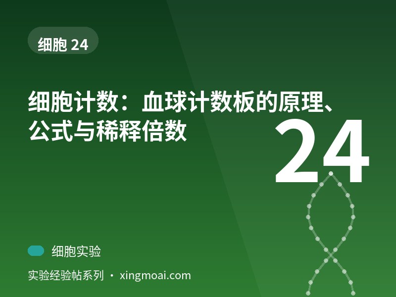 细胞计数：血球计数板的原理、公式与稀释倍数