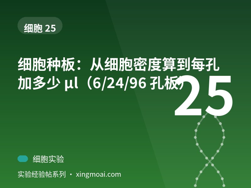 细胞种板：从细胞密度算到每孔加多少 µl（6/24/96 孔板）