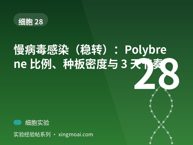 慢病毒感染（稳转）：Polybrene 比例、种板密度与 3 天节奏