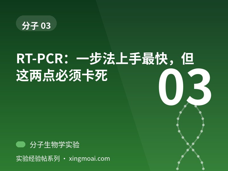 RT-PCR：一步法上手最快，但这两点必须卡死