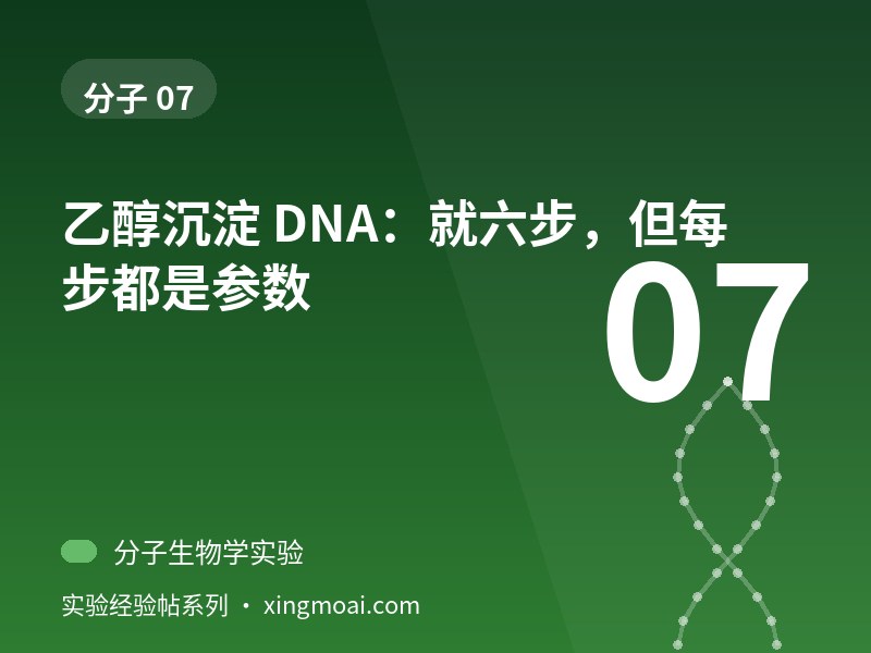 乙醇沉淀 DNA：就六步，但每步都是参数