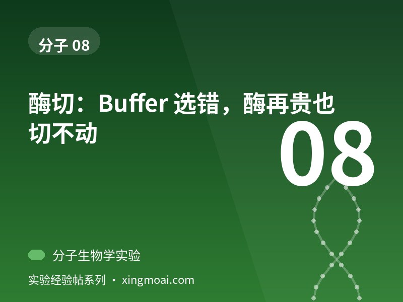酶切：Buffer 选错，酶再贵也切不动