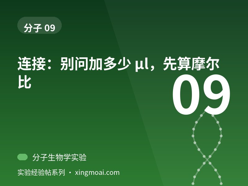 连接：别问加多少 µl，先算摩尔比