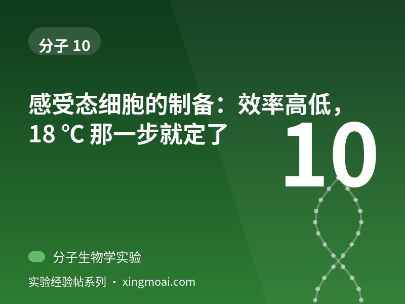 感受态细胞的制备：效率高低，18 ℃ 那一步就定了