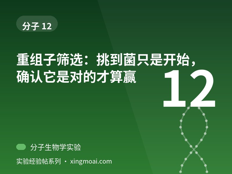 重组子筛选：挑到菌只是开始，确认它是对的才算赢