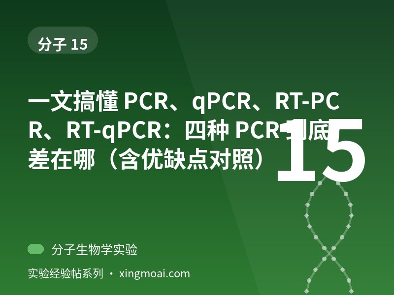 一文搞懂 PCR、qPCR、RT-PCR、RT-qPCR：四种 PCR 到底差在哪（含优缺点对照）
