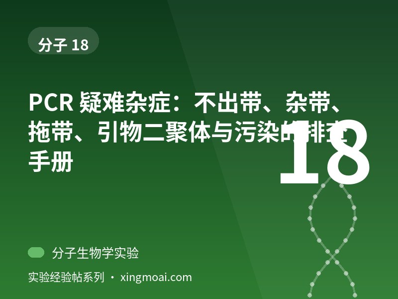 PCR 疑难杂症：不出带、杂带、拖带、引物二聚体与污染的排查手册
