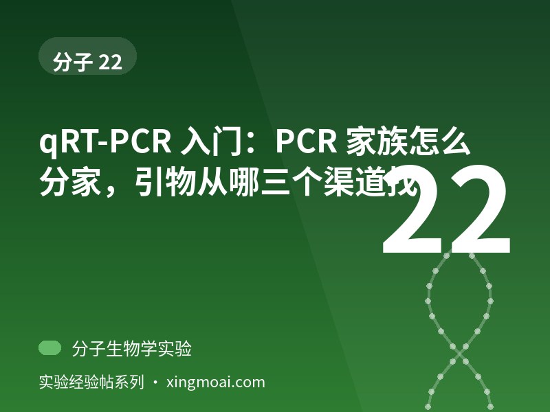 qRT-PCR 入门：PCR 家族怎么分家，引物从哪三个渠道找