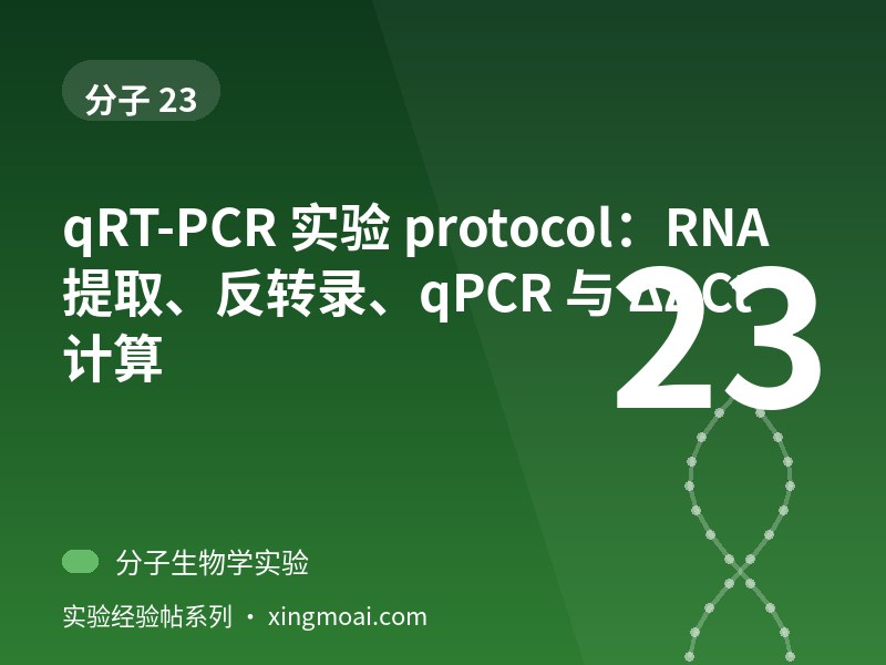 qRT-PCR 实验 protocol：RNA 提取、反转录、qPCR 与 ΔΔCt 计算