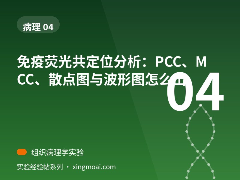 免疫荧光共定位分析：PCC、MCC、散点图与波形图怎么出