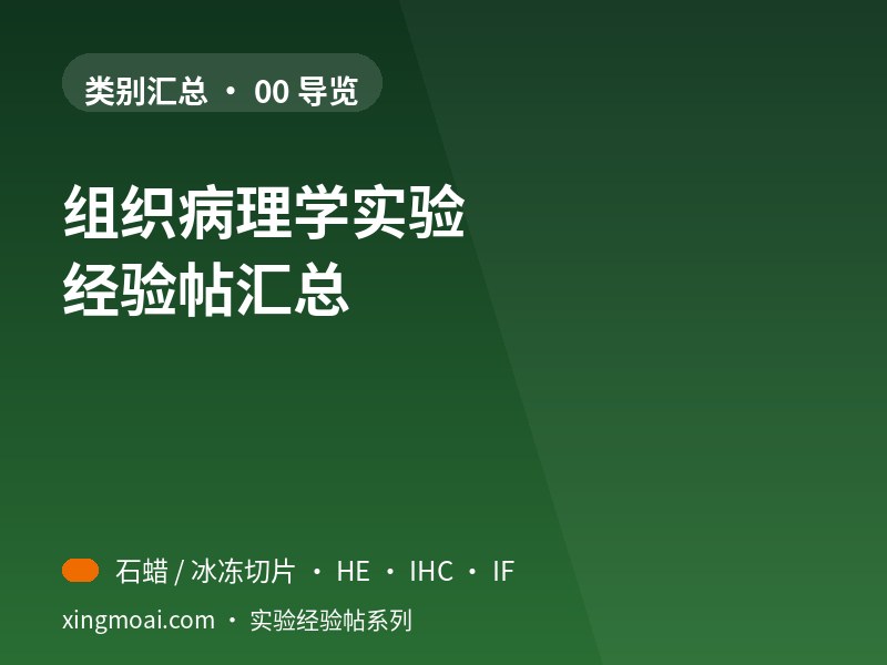 组织病理学实验 汇总