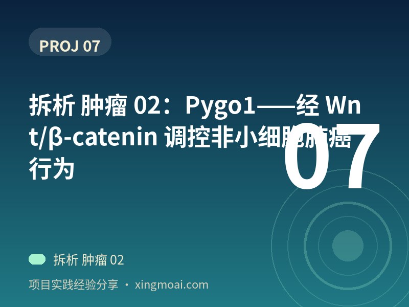 拆析 肿瘤 02：Pygo1——经 Wnt/β-catenin 调控非小细胞肺癌行为