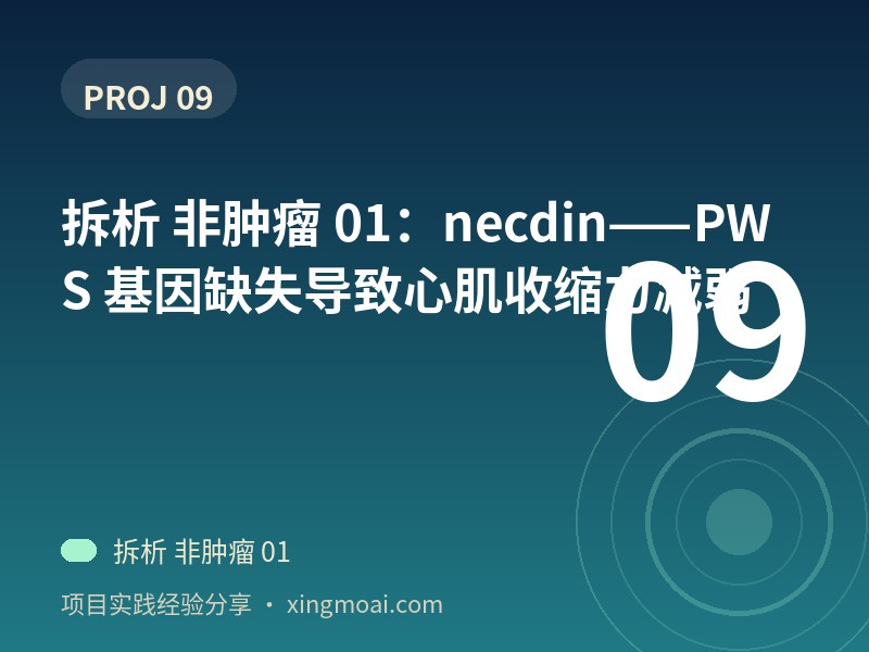 拆析 非肿瘤 01：necdin——PWS 基因缺失导致心肌收缩力减弱