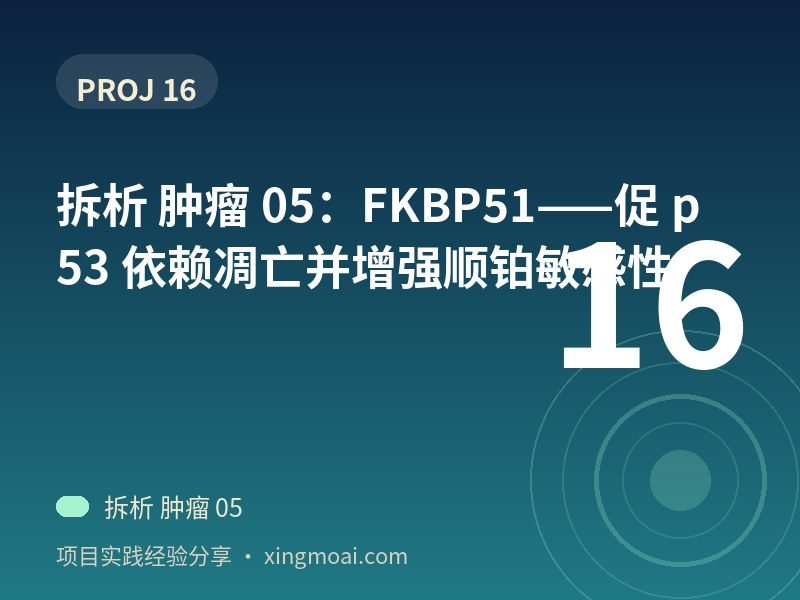 拆析 肿瘤 05：FKBP51——促 p53 依赖凋亡并增强顺铂敏感性