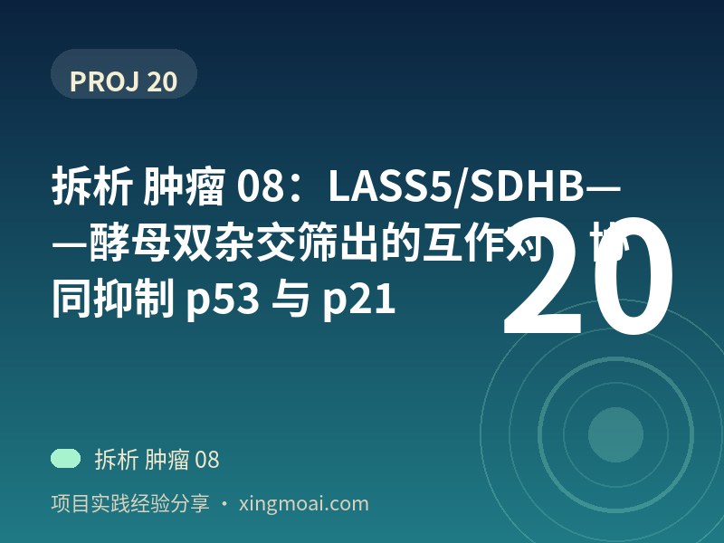 拆析 肿瘤 08：LASS5/SDHB——酵母双杂交筛出的互作对，协同抑制 p53 与 p21